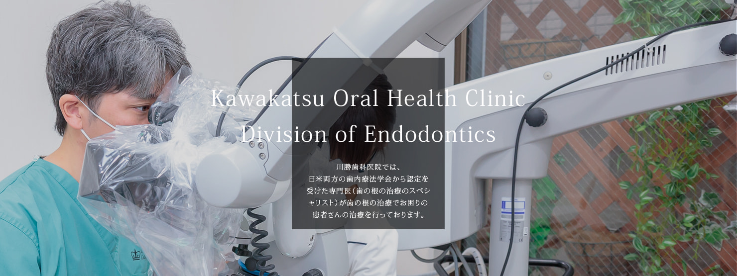 川勝歯科医院 歯内療法専門クリニック | Kawakatsu Oral Health Clinic Division of Endodontics |  米国歯内療法専門医による、歯を保存する、できるだけやり直しのない治療